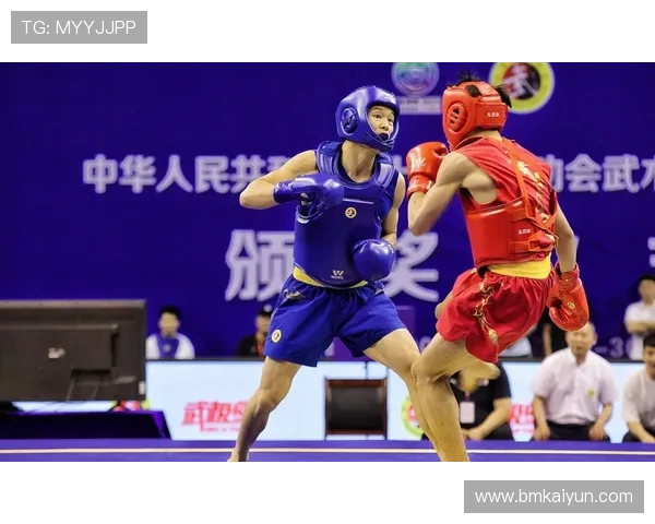 中国散打王视频比赛：巅峰对决，展现武术魅力与实力较量
